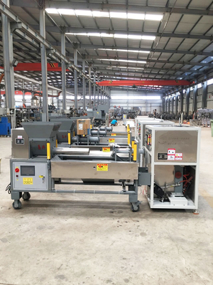 LPBM-2 Hoogrenderende paddenstoelenverpakkingsmachine met nauwkeurige gewichtscontrole