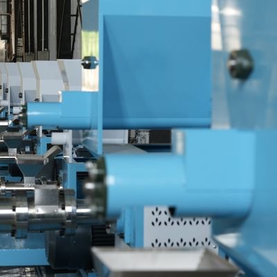 Auto van het de Vissenvoedsel van het Controle380v Gevogelte Drijvende van het de Machine Kleine Voer de Granulatormachine