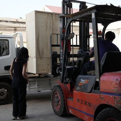 Pet Dog Cat Fish Feed Extruder Animal Feed Pellet Machine voor Feed Processing