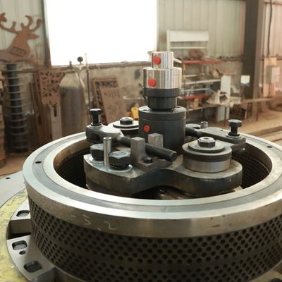 Vlakke de Machine1100kg/H 800kg/H Energie van Matrijzen Houten Korrels - Roestvrije besparing