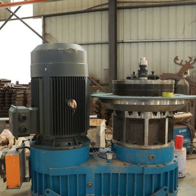 Vlakke de Machine1100kg/H 800kg/H Energie van Matrijzen Houten Korrels - Roestvrije besparing