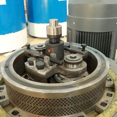 Biofuel van de luzernebagasse Plastic Korrel die Machine 5000kg/H 2mm maken