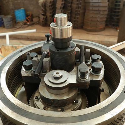 Houten de Korrelsmachine Verticaal Ring Die 3t/H van de brandstofeucalyptus