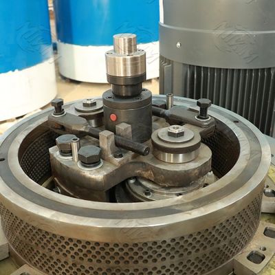 Dubbele van de Biomassa Houten Korrels van de Laagkoffie Machine 0.6mm 1500kgs/H