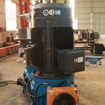 Biofuel van de luzernebagasse Plastic Korrel die Machine 5000kg/H 2mm maken