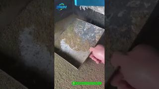 Garnalenvoerpelletmolen | Fabriek eindproductproductie Demo#feed pelletmachine